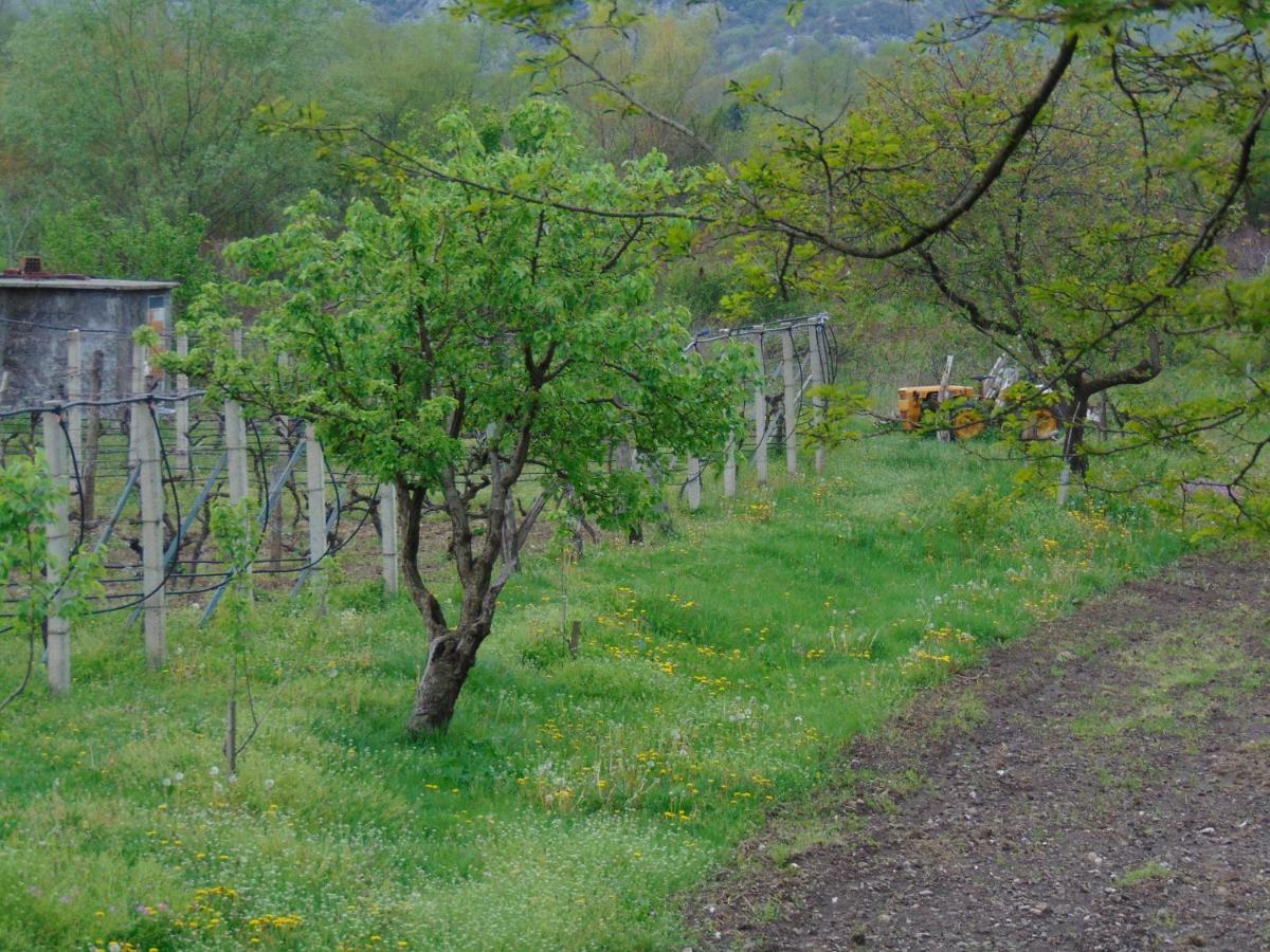 Studio And Winery Kalimut Virpazar Ngoại thất bức ảnh