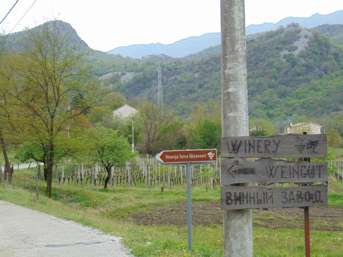 Studio And Winery Kalimut Virpazar Ngoại thất bức ảnh